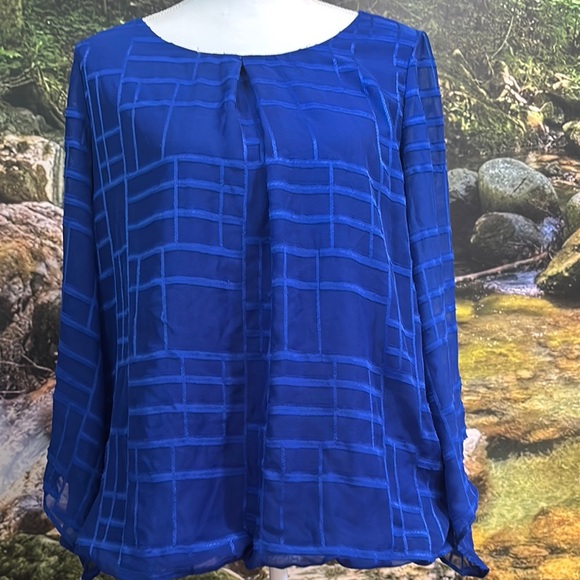 Blue Sheer Women's Top - Picture 1 of 7